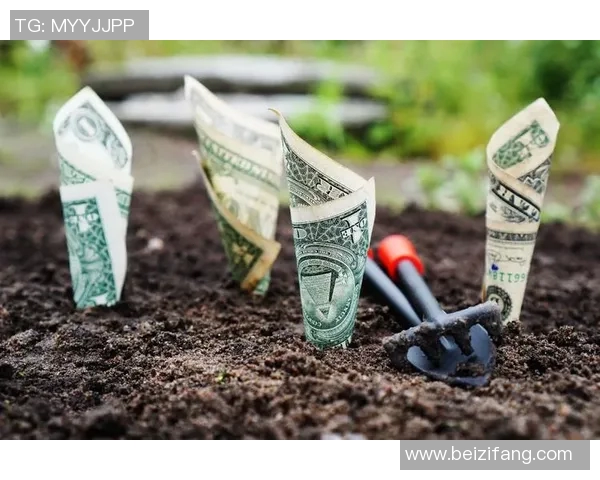 足球明星如何通过多元化收入迅速积累财富的最佳策略解析