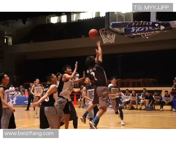 南充篮球明星的崛起与奋斗历程揭秘，如何在全国舞台上绽放光芒